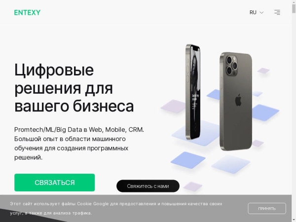 entexy.ru